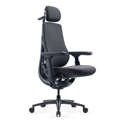 LiberNovo Maxis Manual Dynamic Ergonomic Chair